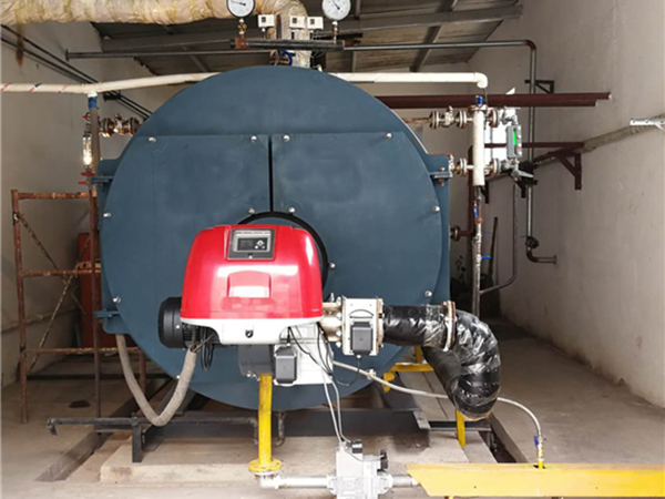 安阳饮料厂燃气蒸汽锅炉低氮改造